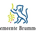 Gemeente Brummen
