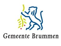 Gemeente Brummen logo