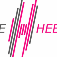 Gemeente Heerenveen logo