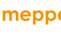 Gemeente Meppel logo
